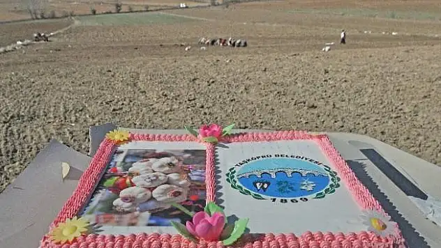 Tarla ortasında pasta sürprizi