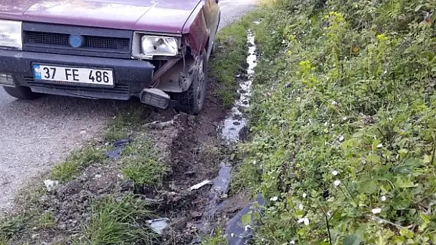 Ayı, yoldan geçen araca saldırdı