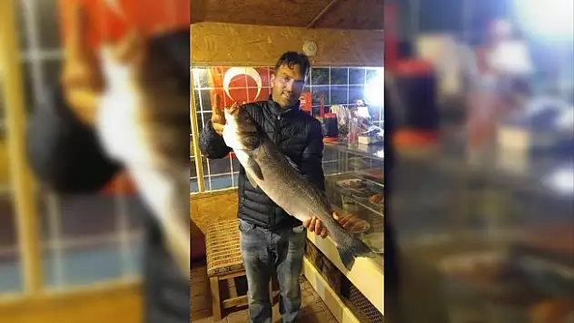 Cide'de 5 kilo ağırlığında levrek yakalandı