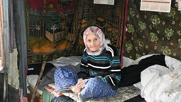 Sokağa terkedilen yaşlı kadına kaymakam sahip çıktı