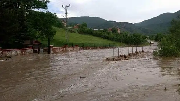 Sağanak yağış tarım arazilerine zarar verdi
