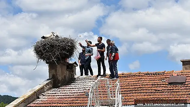Anneleri ölen yavru leyleklere, belediye ve mahalleli sahip çıktı