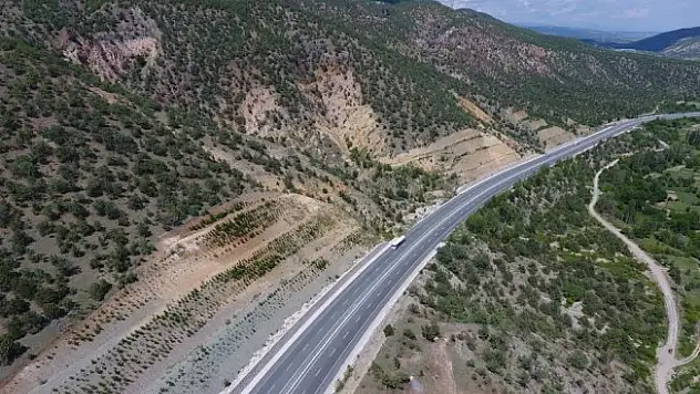 Kastamonu ve Sinop'ta karayolları ağaçlandırıldı