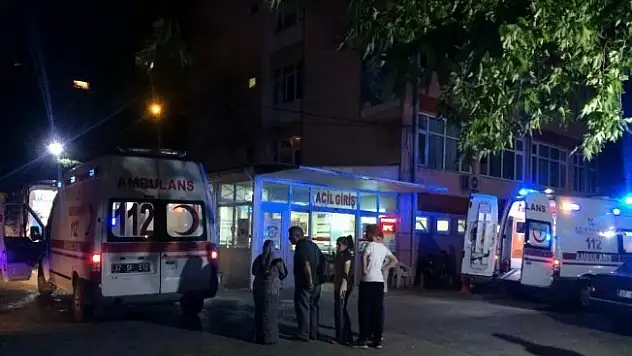 Oynarken facia: 2 çocuk öldü 1 çocuk yaralandı