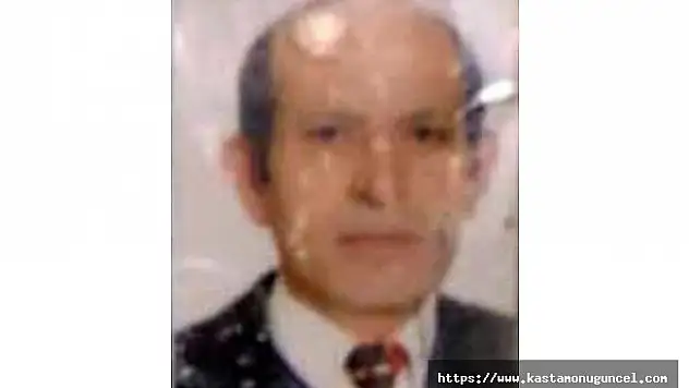 Arıların saldırısına uğrayan şahıs hayatını kaybetti