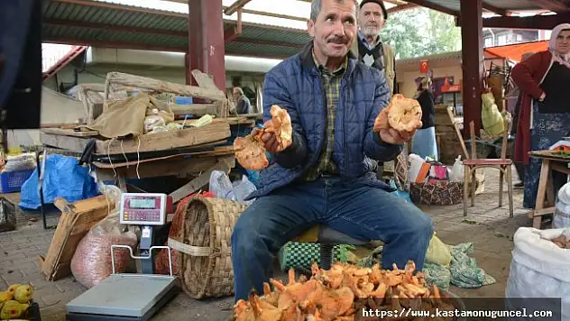 Kanlıca mantarının satışına başlandı