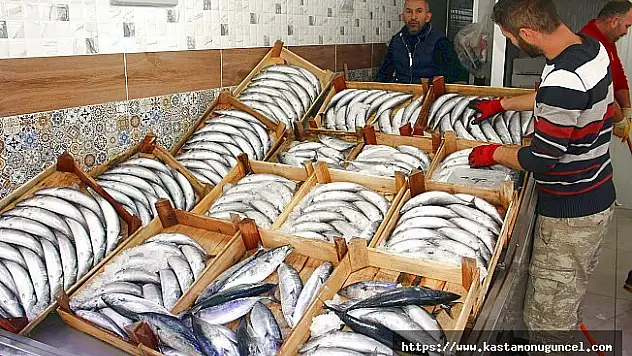 Palamudun tane fiyatı 2 liraya geriledi