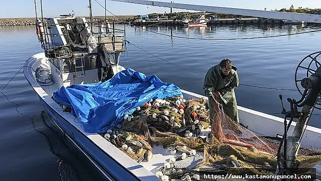 'Uzun süren yaz, balık popülasyonunu etkiledi'