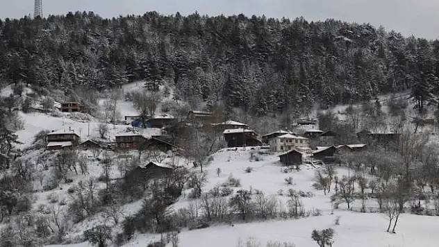 Ilgaz'ın 'kar beyazı' büyülüyor