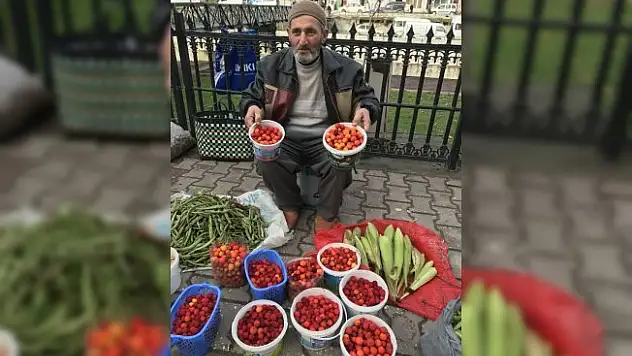 İnebolu'da mumgile satışa sunuldu