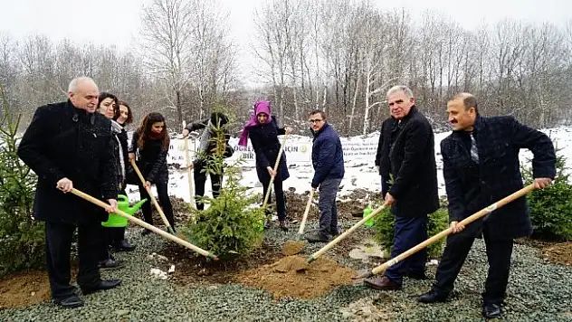 '24 Kasım Öğretmenler Günü Hatıra Ormanı' oluşturuldu