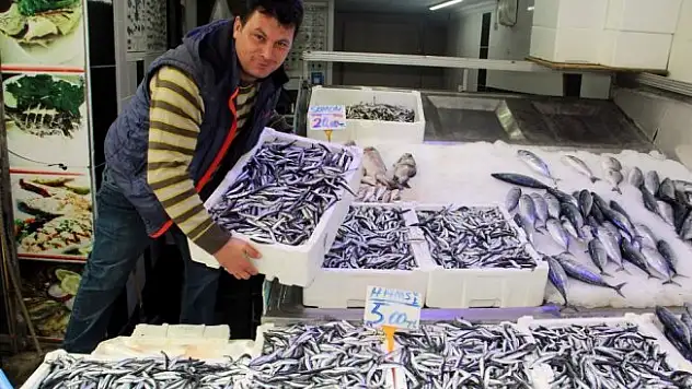 Palamut balıkçıların beklentisini karşılamadı