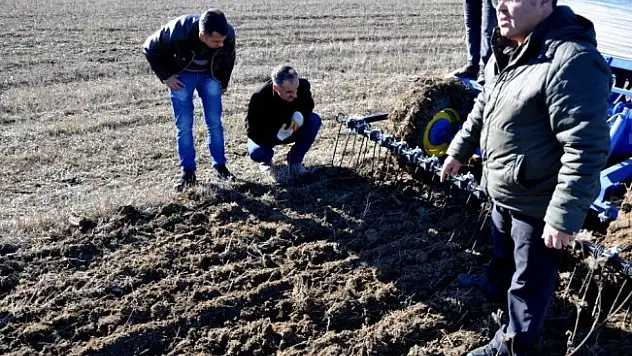 'Buğdayın atası' siyezin geç dönem ekimi yapılıyor