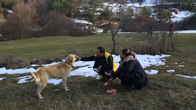 Haber alınamayan ailenin köpekleri enkazdan ayrılmıyor