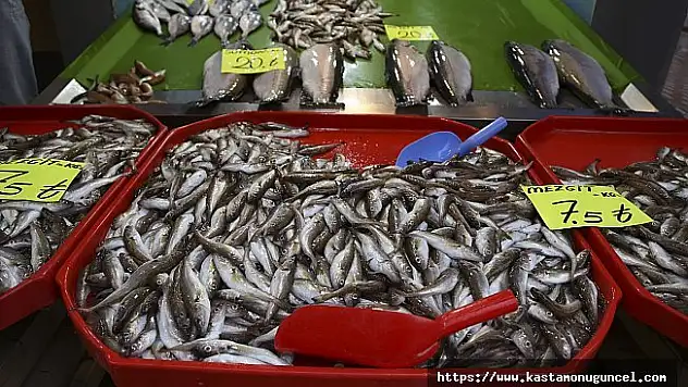 Karadenizli balıkçı, mezgit, barbunya ve istavritle avunuyor