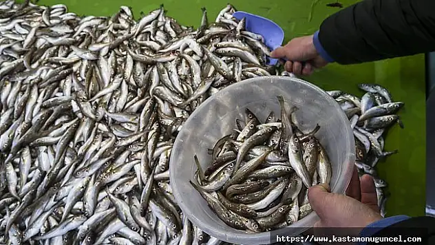 Karadenizli balıkçılar eski günlerini özlüyor