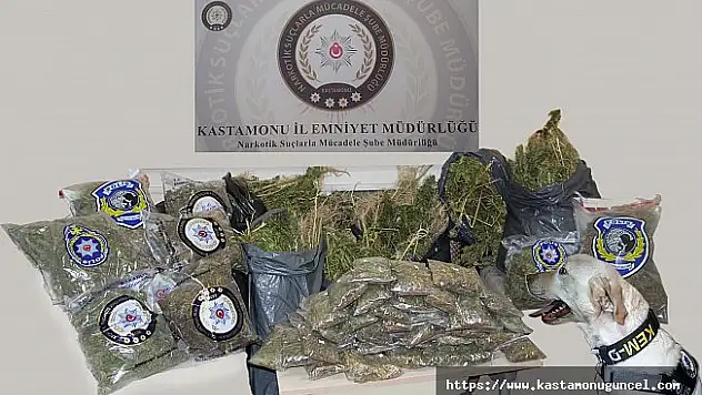 Kastamonu'da 50 kilo kubar esrar maddesi ele geçirildi