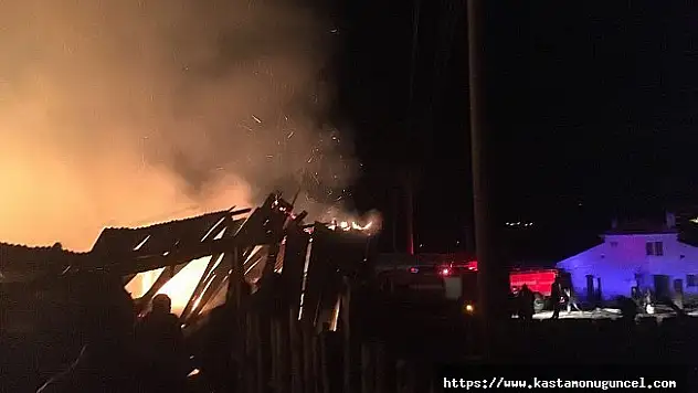 Kastamonu'da çıkan yangında hayvanlar telef oldu