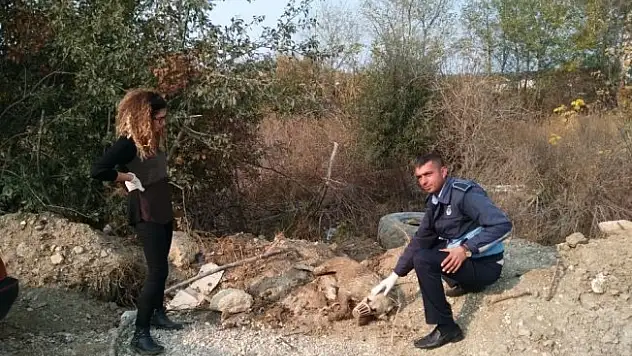 Su kuyusuna düşen köpeği işçiler kurtardı