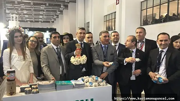 Taşköprü Travel Turkey'de