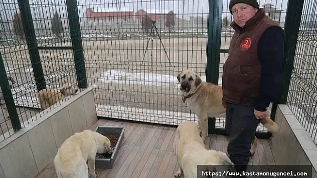 Yanan evin sadık bekçilerine çok sayıda talip var