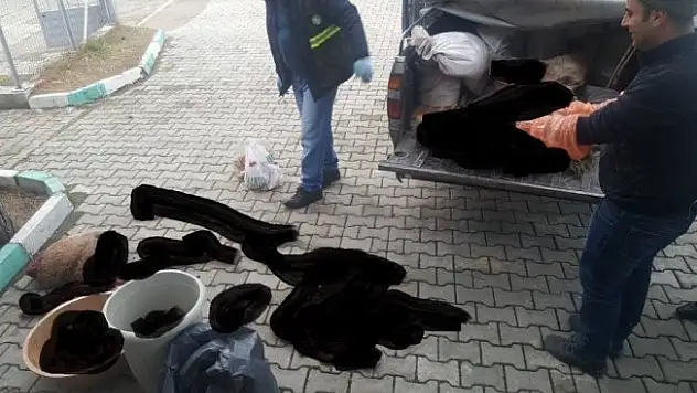 Kaçak avcılara 14 bin lira para cezası kesildi
