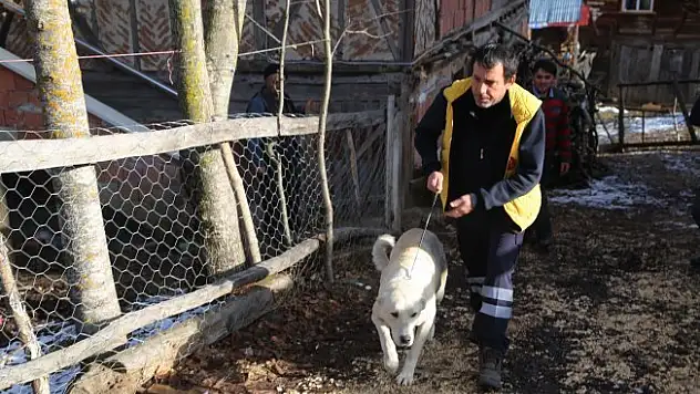 Kayıp 5 kişilik ailenin kaçan köpeği bulundu
