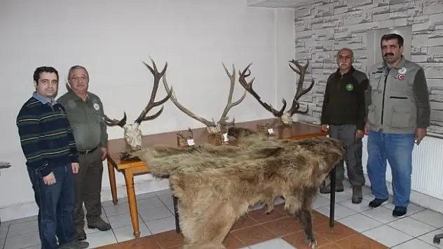 Milli Parklar 2017 yılında 150 bin TL para cezası kesti