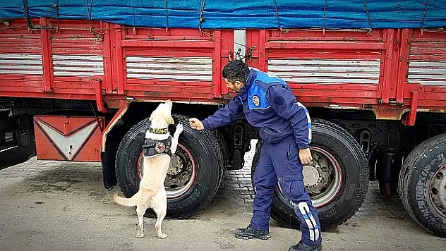 Narkotik ekipleri D-100 Karayolunda uyuşturucu avında