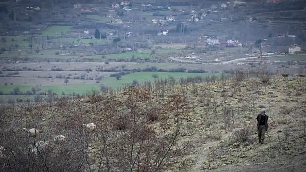 Dağdaki çobanın Cumhurbaşkanı Erdoğan sevgisi