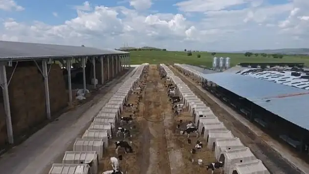 Anadolu çiftliği, Pınar ile anlaştı