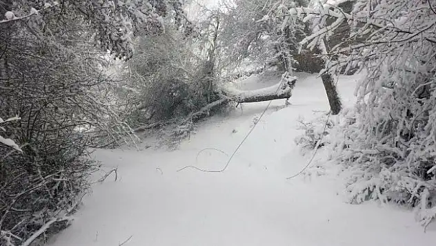 Kopan elektrik tellerini onarmak isterken akıma kapıldı