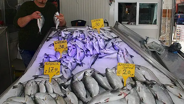 Balıkçıların umudu gelecek sezona kaldı
