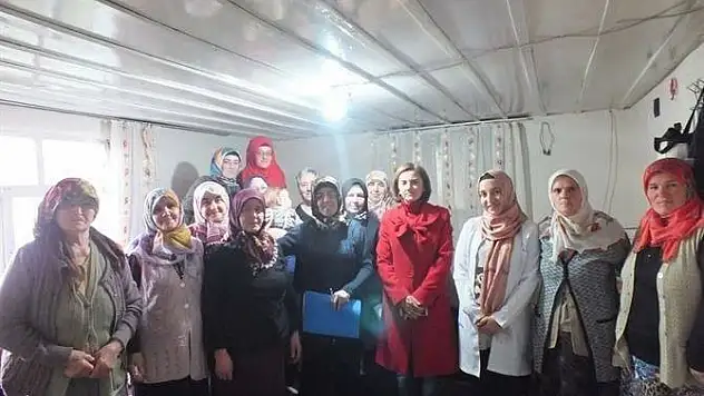 Daday'da kadınlara 'çiftçilik' ve 'kadına şiddet' eğitimi verildi