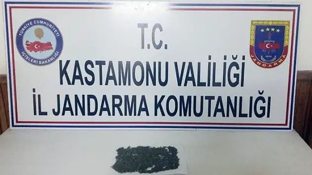 Otobüste bir yolcunun üzerinde bonzai bulundu