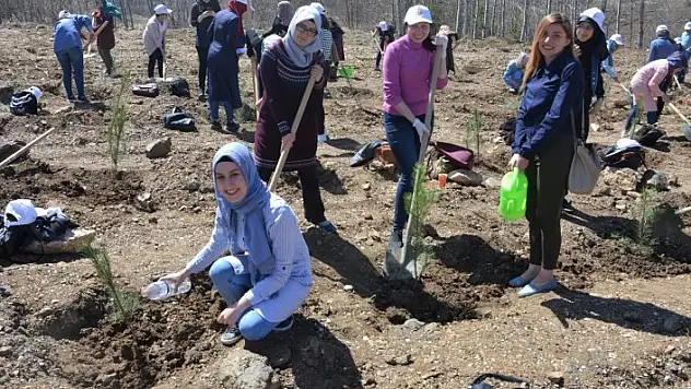Afrin şehitleri için fidan dikildi
