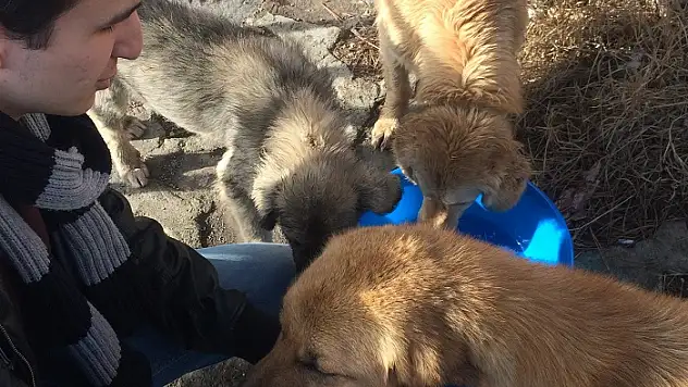 İhsangazi'deki üniversite öğrencilerinden örnek davranış!