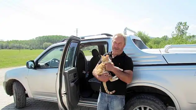 Kamyonette mahsur kalan kedi, çilingir yardımıyla kurtarıldı