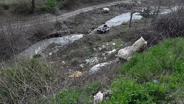 Kirpiyi ezmemeye çalışırken dereye uçtu: 2 yaralı