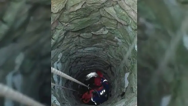 Kuyuya düşen danayı AFAD kurtardı