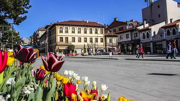 Taşköprü'de laleler açtı!