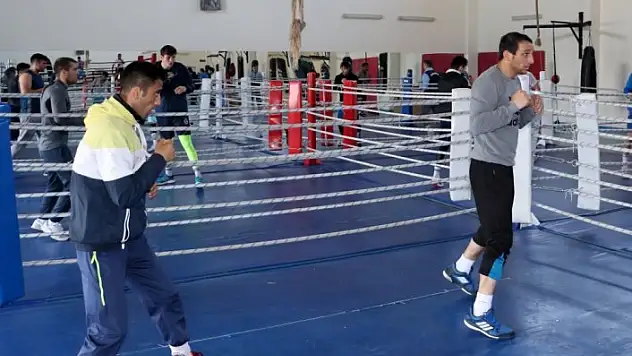 Boks Milli Takımı'nın Kastamonu kampı sürüyor