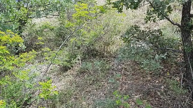 Kastamonu'da 8 kaçak define avcısı suçüstü yakalandı