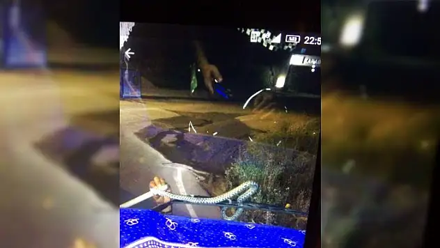 Seyir halindeki tırın sileceğine yılan dolandı