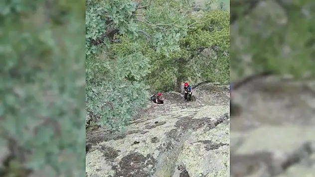 Tosya'da kayalıklarda mahsur kalan köpek, AFAD ekiplerince kurtarıldı