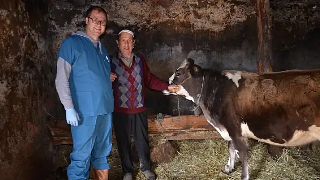 Hanönü'de şap aşısı çalışmaları tamamlandı