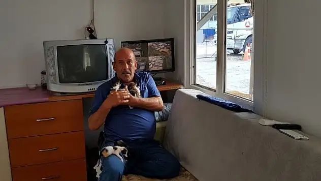 Hurdalıkta bulduğu 5 yavru kediyi elleriyle besliyor