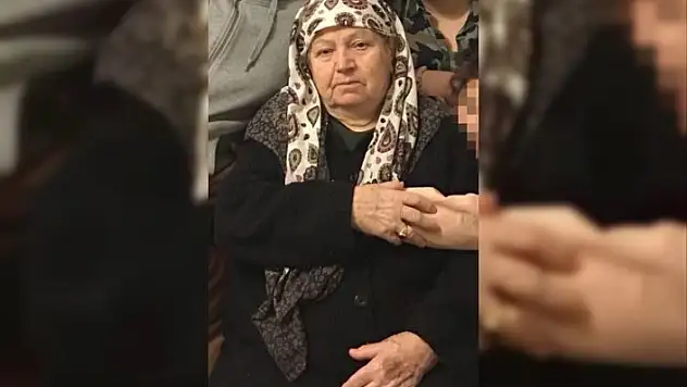 Kastamonu'da arının soktuğu kadın hayatını kaybetti