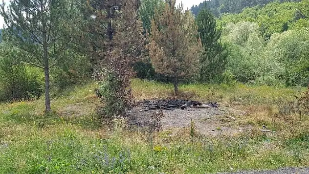 Başıboş köpeklerin kaldığı barınak yandı