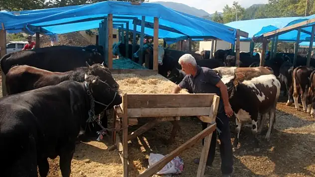 Bozkurt'ta kurban pazarı kuruldu
